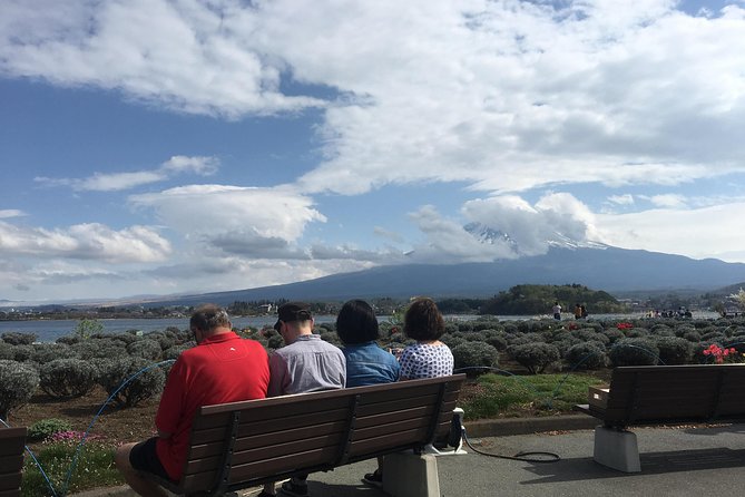 Private guided hidden gems tour by local English speaking driver - Aokigahara forest and the lava cave option