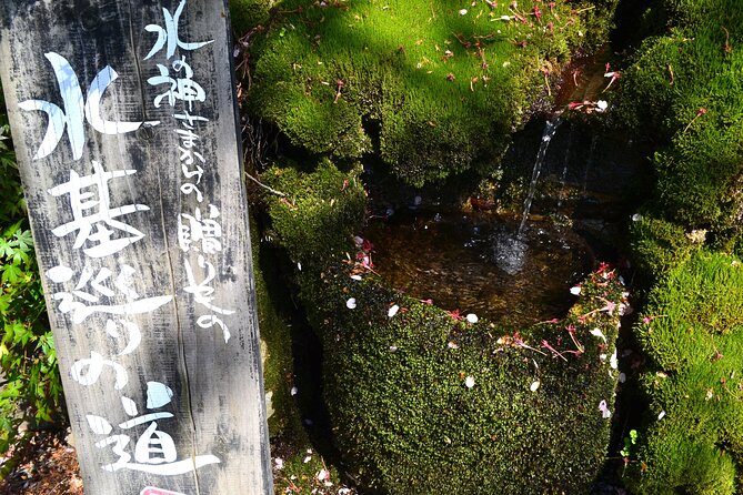 Private guided tour: Mt. Aso volcano, grasslands, Aso Shrine - Why this half-day Aso tour works so well