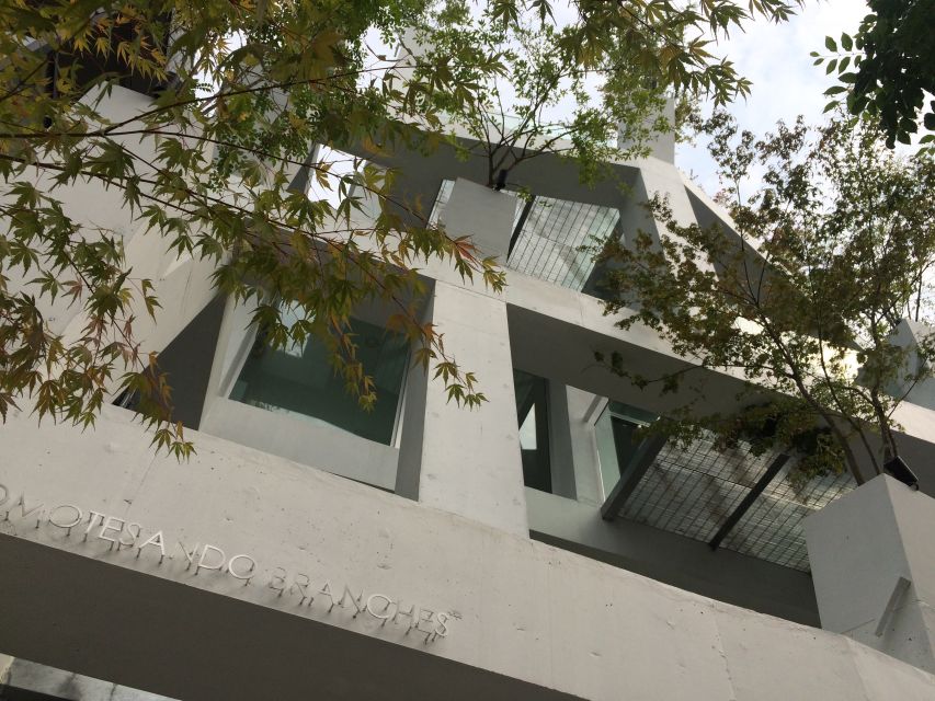 Private Harajuku Omotesando Architecture Tour - Omotesando’s designer buildings