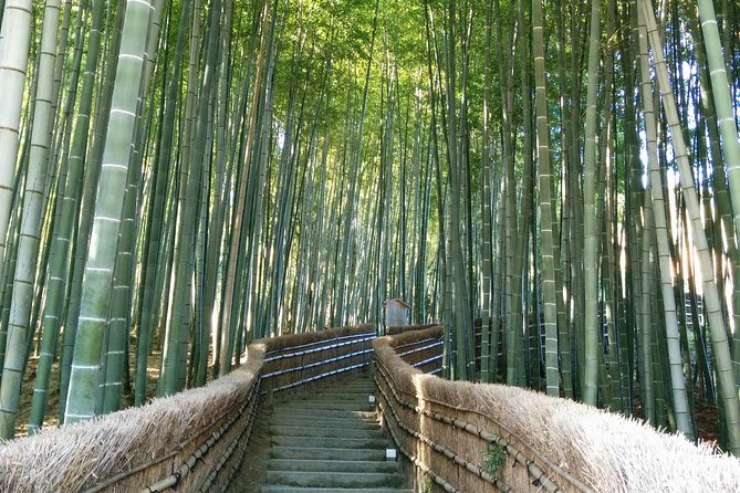 Private Highlights of Kyoto Tour - Why this private Kyoto tour works well for a first visit