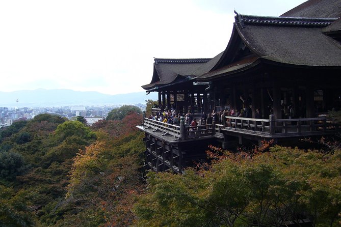 Private Highlights of Kyoto Tour - Walking, weather, and practical planning