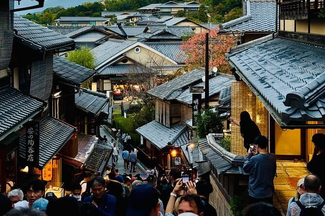 Private Kyoto Customizable Day Tour with English Speaking Driver - Arashiyama and the bamboo grove