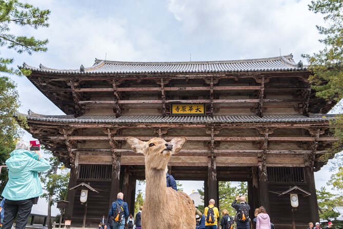 Private Kyoto Tour by Car with Optional Nara or Osaka Add-Ons - Fushimi Inari and the thousands of red gates