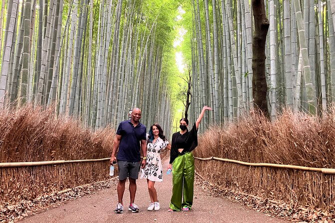 Private Kyoto Tour with Licensed Guide & Vehicle (Max 15 persons) - Northern mountains and quieter choices