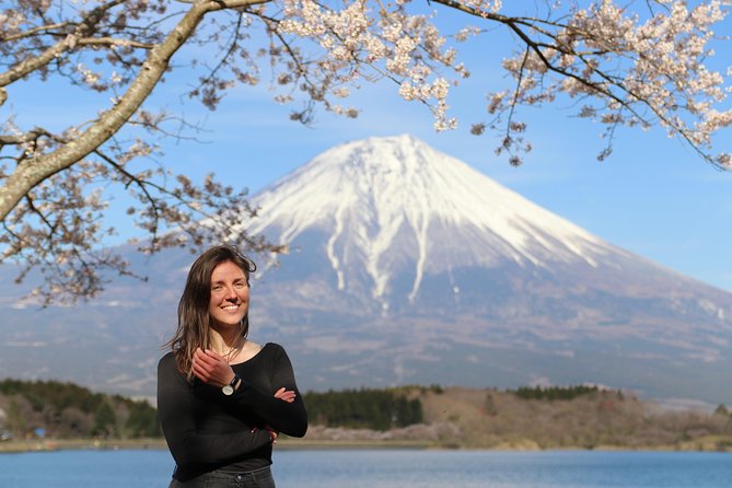 Private Mt Fuji Tour from Tokyo: Scenic BBQ and Hidden Gems - Shiraito Falls and Fuji’s spring water