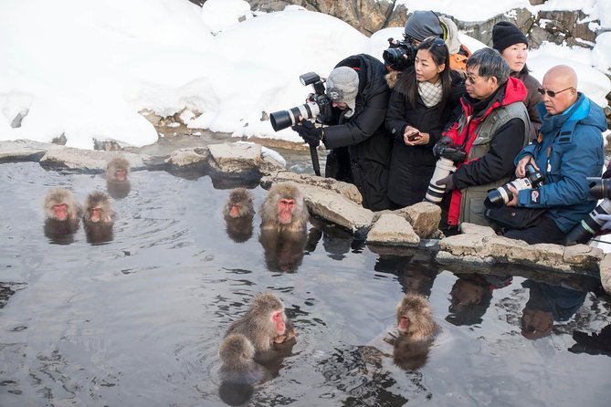 Private Nagano 1-Day Tour:Snow Monkeys,Zenko-ji,Obuse,Sake,Onsen - What the guide adds to the day