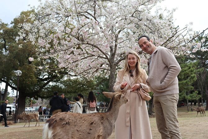 Private Nara Tour and Sake Tasting (Departing from Kyoto/Nara) - Kofuku-ji and the first glimpse of Nara’s old capital