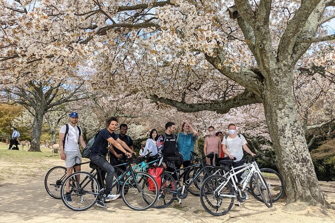Private Nara Tour and Sake Tasting (Departing from Kyoto/Nara) - Nara Park and the deer encounter