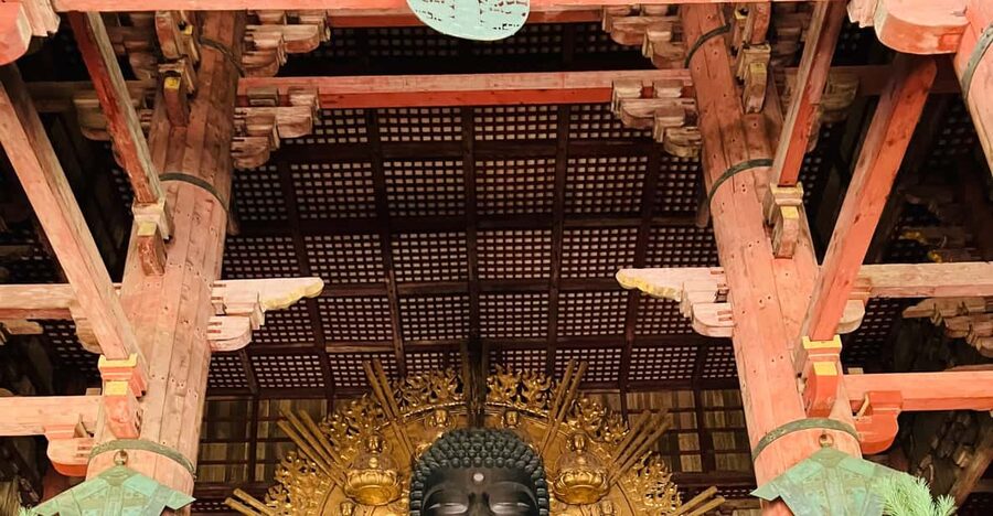 Private Nara Tour from Osaka – Meet at Your Hotel - Himuro Shrine, a smaller sacred stop