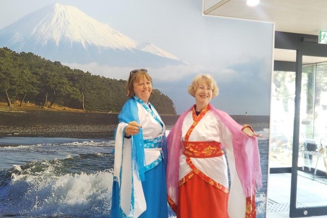 Private sightseeing tour from Shimizu Port / Van Taxi - A smart way to see Shimizu from the port
