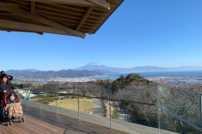 Private sightseeing tour from Shimizu Port / Van Taxi - Nihondaira Ropeway and Kunozan Toshogu Shrine