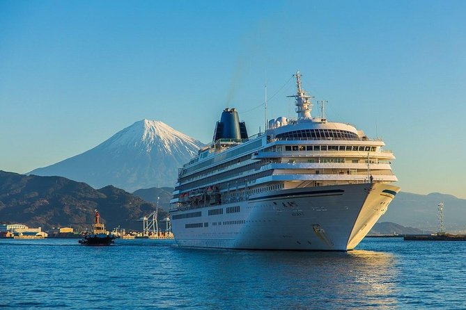 Private sightseeing tour from Shimizu Port / Van Taxi - Miho no Matsubara’s pines, beach, and Fuji view