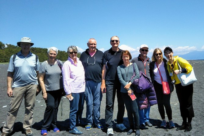 Private sightseeing tour from Shimizu Port / Van Taxi - The real Fuji question: weather and expectations