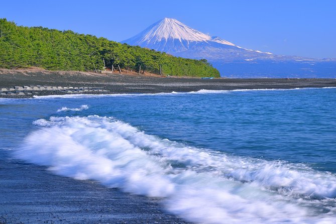 Private sightseeing tour from Shimizu Port / Van Taxi - Who will get the most from this tour