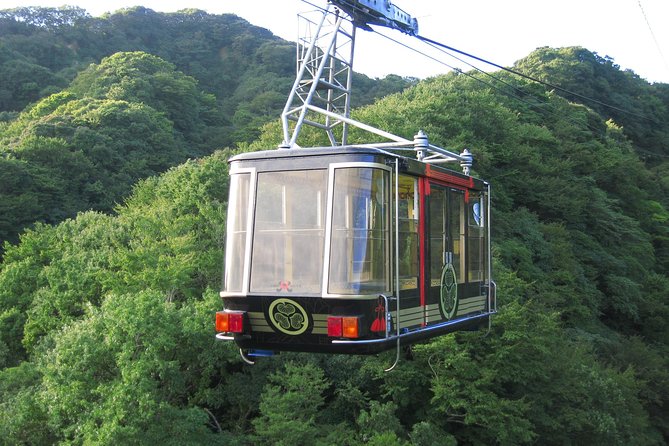 Private sightseeing tour from Shimizu Port / Van Taxi - Should you book this Shimizu port tour?