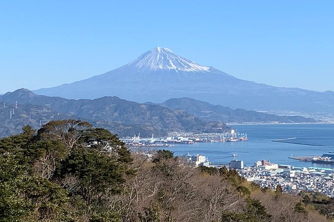 Private sightseeing tour from Shimizu Port / Van Taxi - Nihondaira’s observatory and tea country