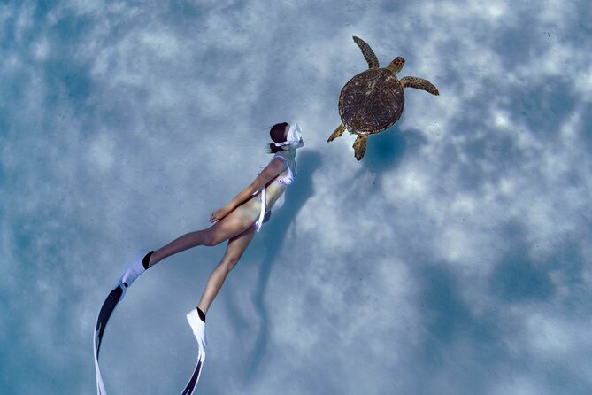 Private snorkeling tour Ishigaki island - Key points at a glance