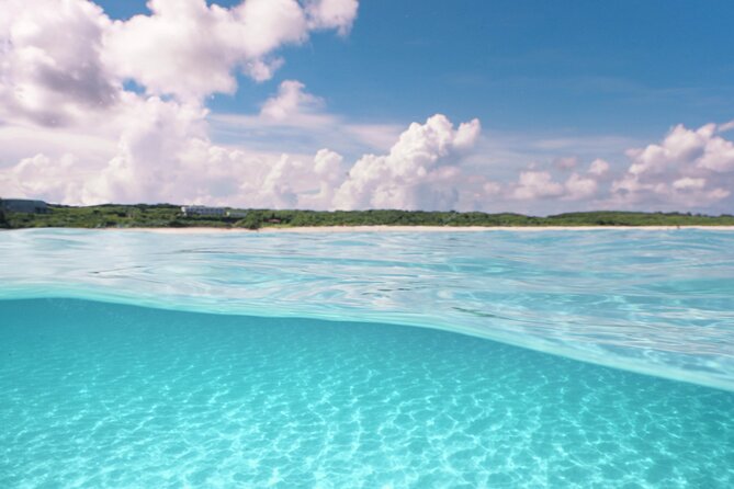 Private snorkeling tour Ishigaki island - Kabira Maetake Farm and the fruit smoothie finish
