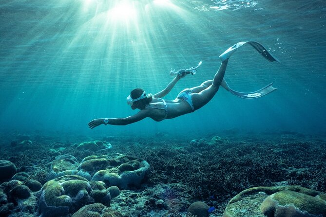 Private snorkeling tour Ishigaki island - Free GoPro photos are a real value