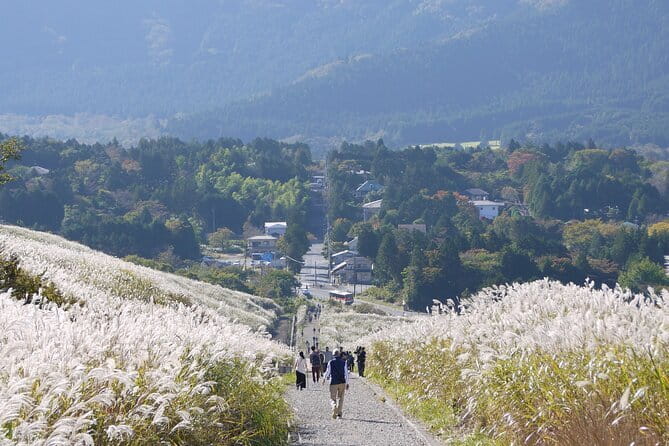 Private Tour - Hakone Day Trip! A Tour to Explore All Must-Sees! - Riding the Hakone Ropeway toward Owakudani
