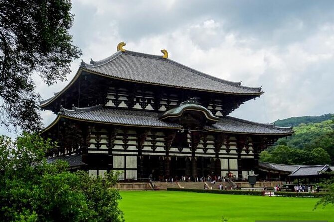 Private Tour Kyoto-Nara w/Hotel Pick Up & Drop off from Kyoto - Price: when $350.16 per person makes sense
