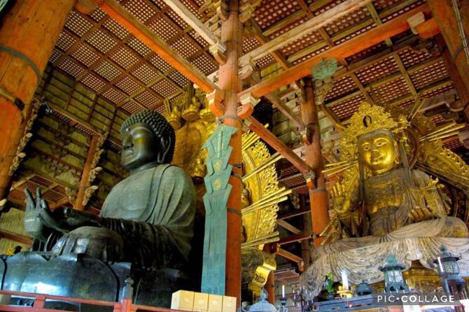 Private Tour Kyoto-Nara w/Hotel Pick Up & Drop off from Kyoto - The guides can shape the whole experience