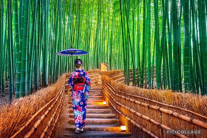 Private Tour Kyoto-Nara w/Hotel Pick Up & Drop off from Kyoto - Todai-ji and Nara Park: a powerful start in ancient Nara