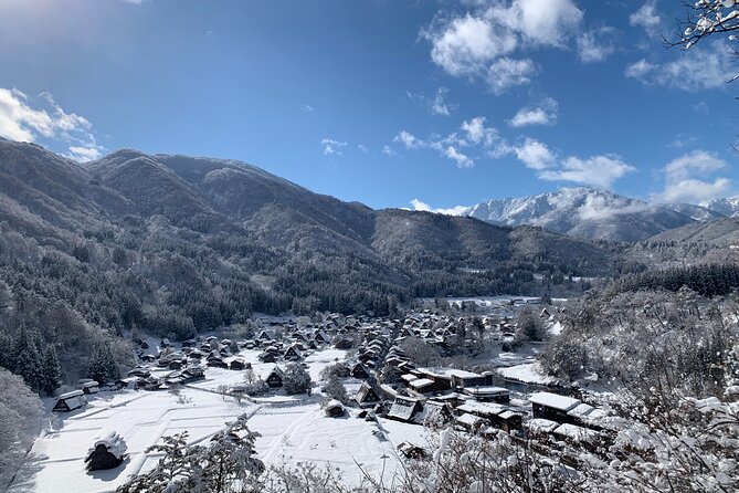 Private Tour of Shirakawago from Kanazawa (Half Day) - What the $223.55 price buys you