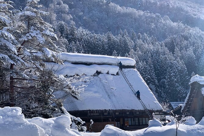 Private Tour of Shirakawago from Kanazawa (Half Day) - Who should book this Shirakawago tour?