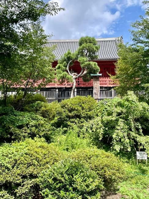Private Tour Through the Tokyo National Museum & Ukiyo-e - Is $74 per person a fair price?