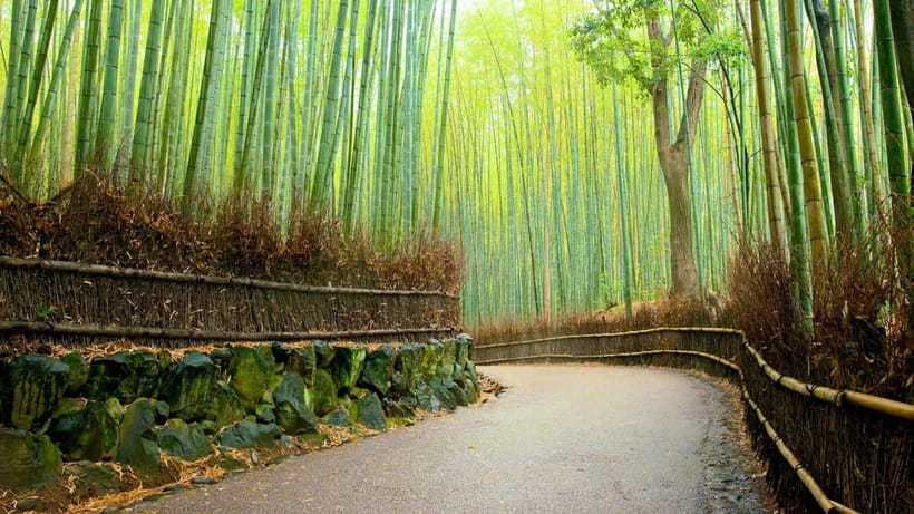 Private Tour to Monkey Park and Arashiyama Highlights - Why this private Arashiyama tour works