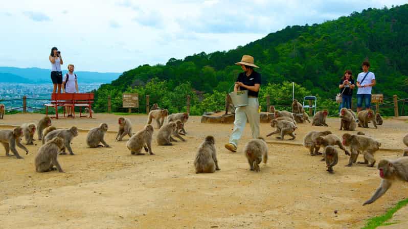 Private Tour to Monkey Park and Arashiyama Highlights - Meeting Masa at Hankyu-Arashiyama Station