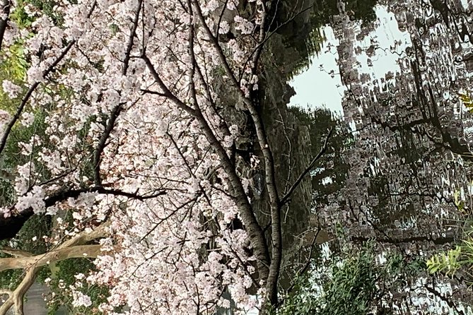 Private Tour to Mt. Fuji and Hakone (Fully Licenced Operator) - Shrines and pagodas around Fujiyoshida