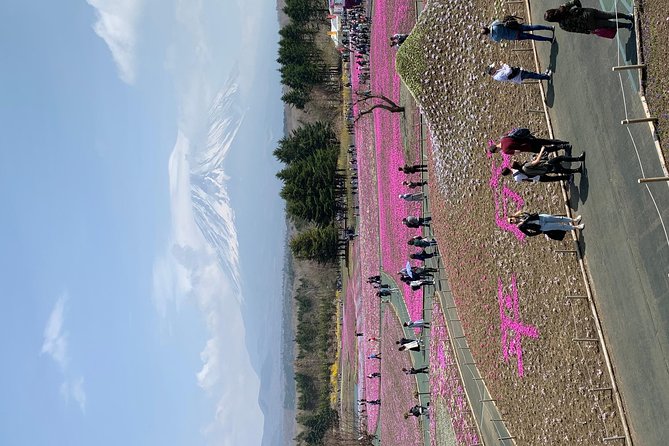Private Tour to Mt. Fuji and Hakone (Fully Licenced Operator) - Owakudani Valley and the wider Hakone route