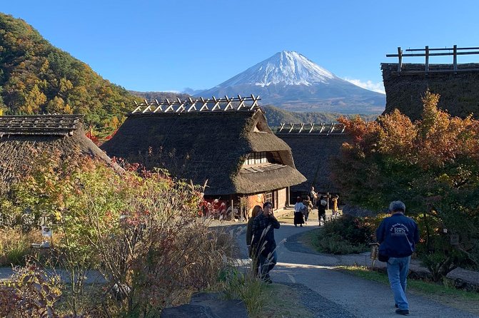 Private Tour to Mt. Fuji and Hakone (Fully Licenced Operator) - Mt. Fuji 5th Station: useful, but never guaranteed