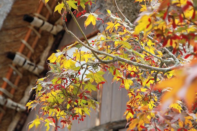 Private transfer Kanazawa to Takayama Including Shirakawago - Is $269.23 per person a fair price?