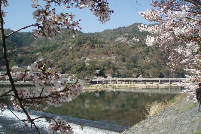 Private Walking Tour in Bamboo Forest & Hidden Spots in Arashiyama - Starting at Saga-Arashiyama Station