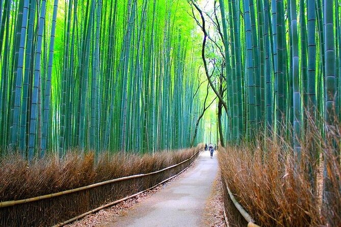 Private Walking Tour in Bamboo Forest & Hidden Spots in Arashiyama - Ending beside the Katsura River