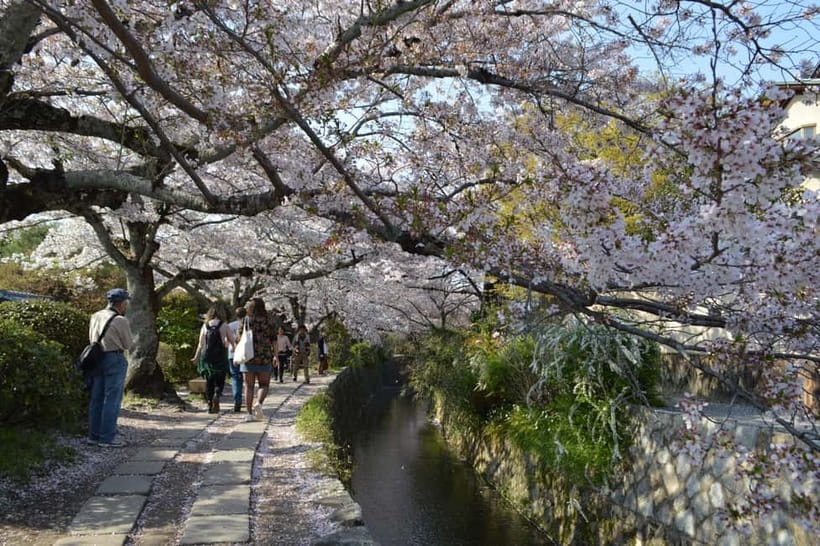 Sacred Pathways: Discover the Philosopher's Path of Kyoto - Why the Philosopher’s Path works so well on foot