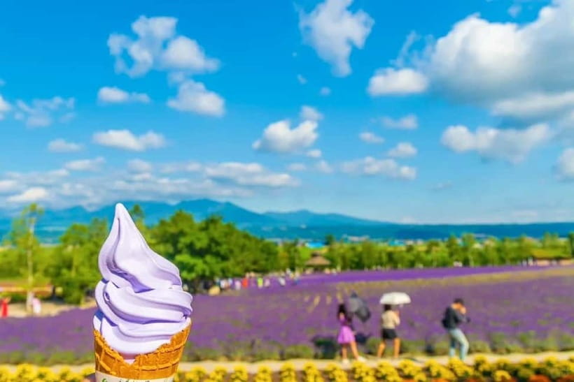 Sapporo: Furano Flower Sea & Biei Blue Pond Tour w/ Pickup - Group size, guide service, and the day’s pace