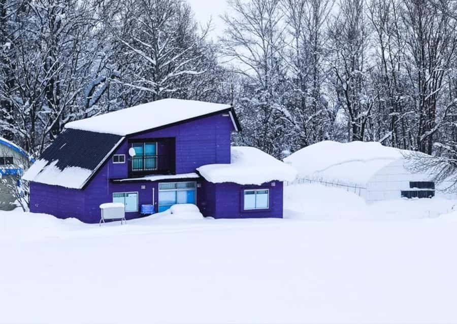 Sapporo: Furano Lavender & Biei Blue Pond Tour with Lunch - Farm Tomita and the best month for lavender
