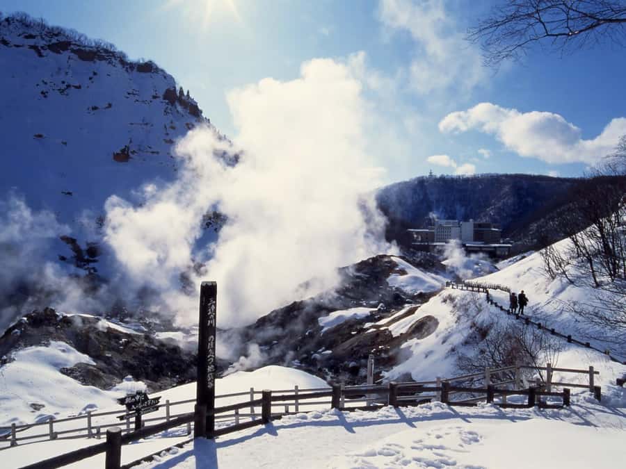 Sapporo: Hokkaido, Noboribetsu and Lake Toya Day Tour - Showa Shinzan and the brown bear farm