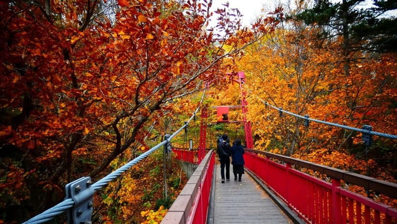 Sapporo: The Indigenous Ainu People & Jozankei walking tour - Why this day trip works so well