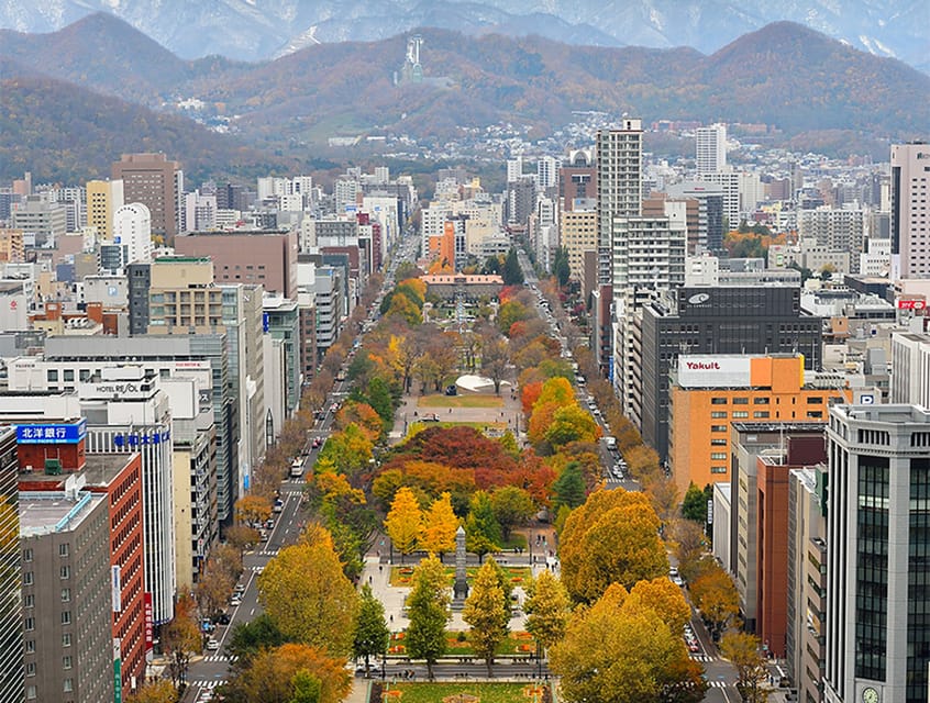 Sapporo TV Tower Admission Ticket - Looking down on Odori Park through the seasons