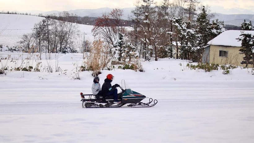 Sapporo Winter : Asahiyama Zoo (Penguin Fun & Snowmobile) - Asahiyama Zoo and the winter animals