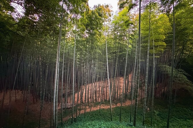Scenic Green Tea Fields of Hidden Kyoto & Local Tea Exp (Private) - Shoju-in and the famous heart-shaped window