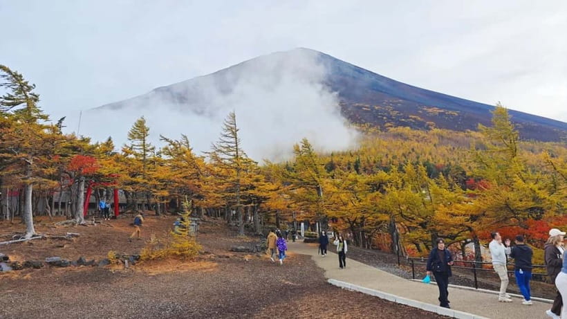 [Seasonal Limited] Mt. Fuji 5th Station &Hot Spring Day Tour - The postcard view at Shinkurayama Asama Park