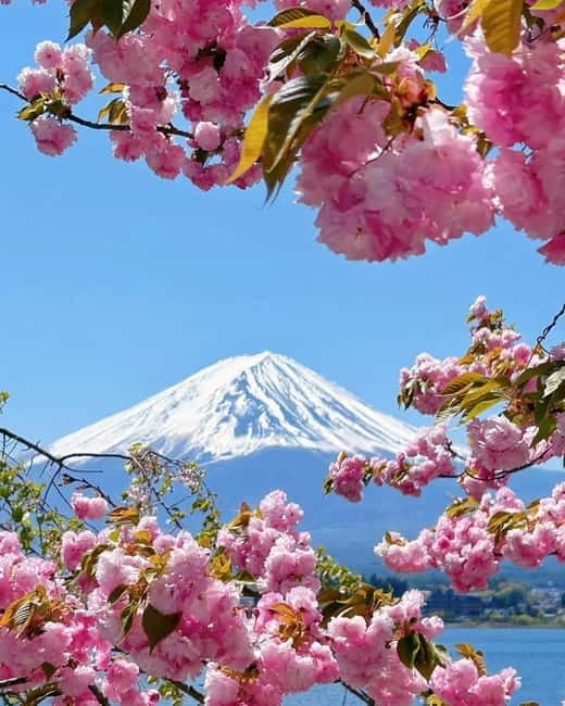 [Seasonal Limited] Mt. Fuji 5th Station &Hot Spring Day Tour - Who should book this tour