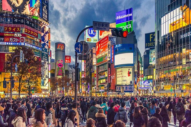 Shibuya All You Can Eat Best Food Tour The Original One in Tokyo - Mega Don Quijote and the practical Tokyo detour