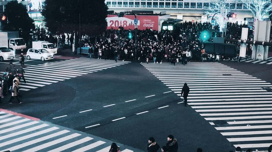 Shibuya: Crossing, Hachiko & Shibuya Sky Guided Tour - Crossing Shibuya Scramble with the crowd